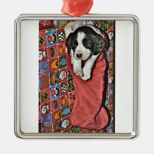 A Puppy For Christmas ornament (Front)