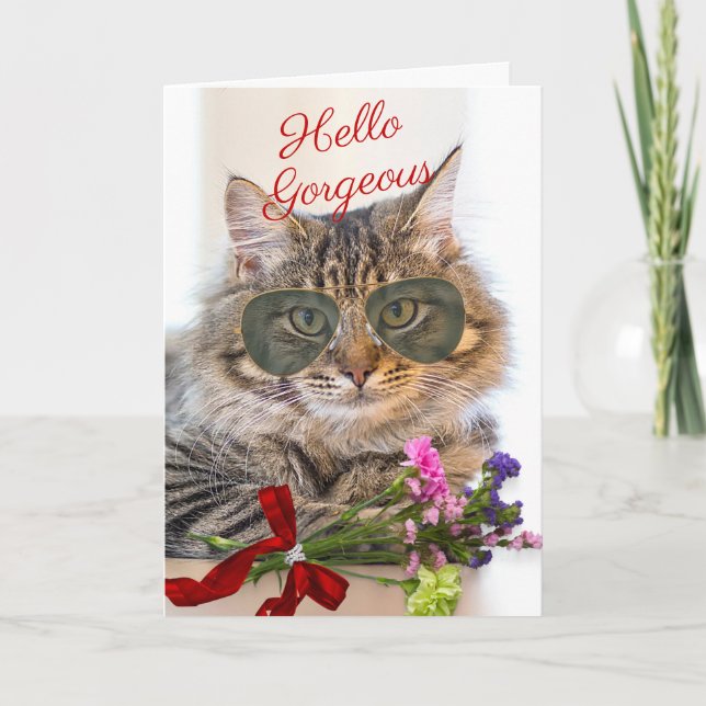 A Purrfect Anniversary with Gorgeous Cat in Shades Card (Front)