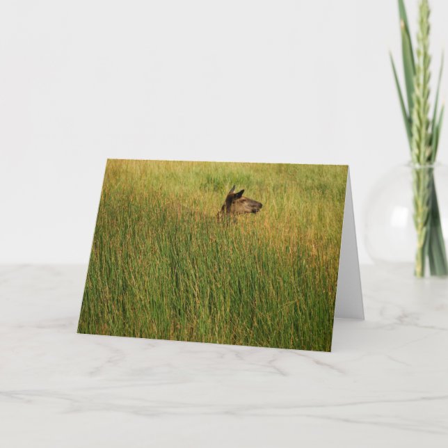 A Quick Peak Card (Front)