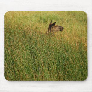 A Quick Peak Mousepad