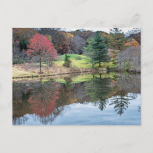 A quiet autumn reflection of colour and water,  postcard