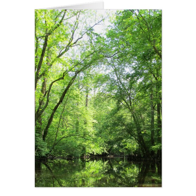 A Quiet Creek (Front)