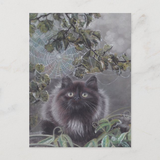 A Quiet Place - Kitten and Spiderweb Postcard (Front)