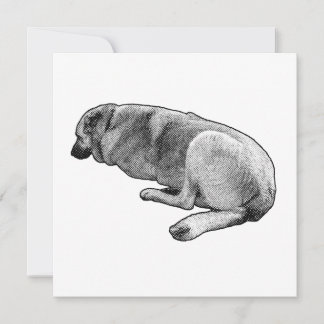 A Quiet Place to Settle Invitation