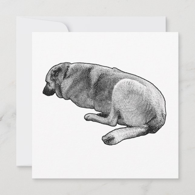 A Quiet Place to Settle Invitation (Front)