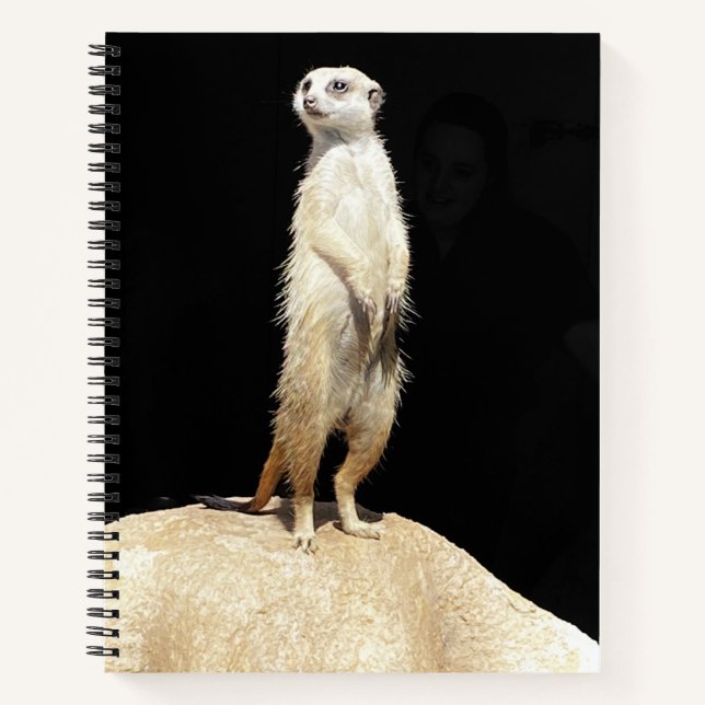 A Quirky Meerkat - Notebook (Front)