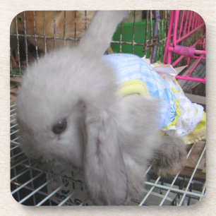A Rabbit in a Dress Coaster