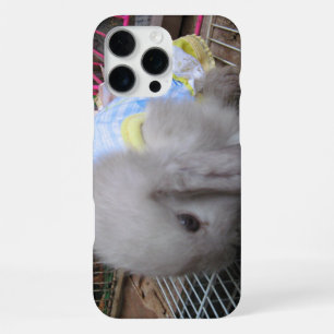 A Rabbit in a Dress iPhone Case