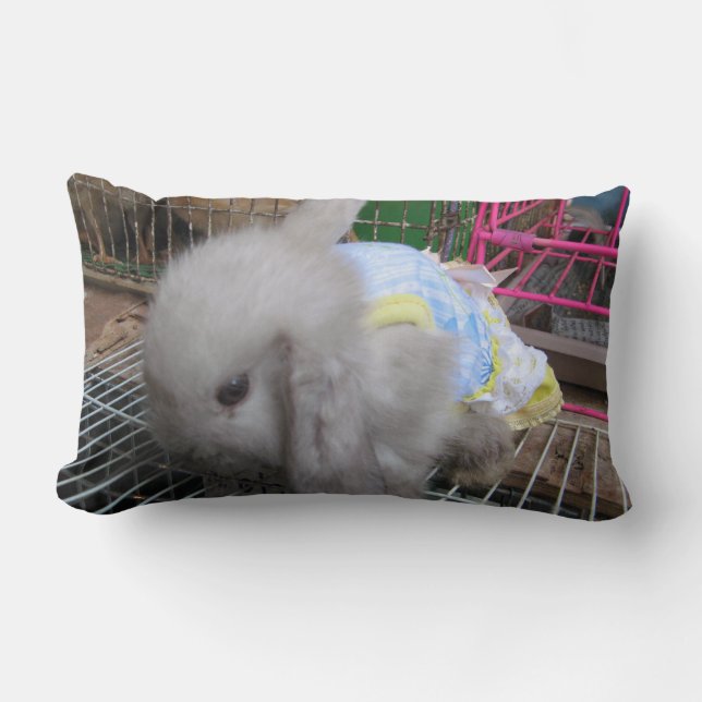 A Rabbit in a Dress Lumbar Cushion (Front)