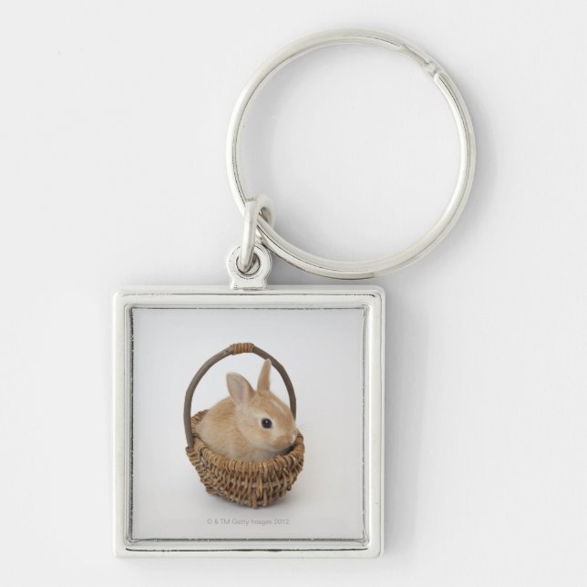 A rabbit is in a basket.Netherland Dwarf. Key Ring (Front)