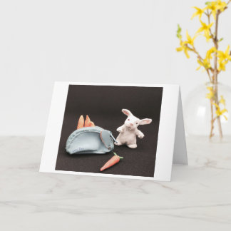 A Rabbit with his Change Purse Card