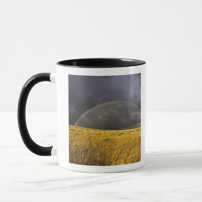 A rainbow appearing through a misty after noon mug (Left)