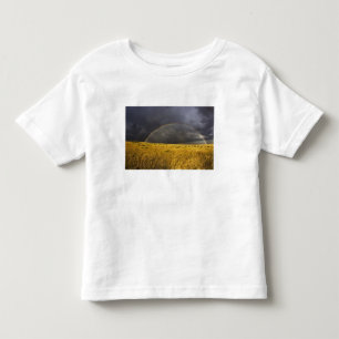 A rainbow appearing through a misty after noon toddler T-Shirt