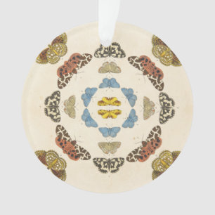 A Rare Depiction of Butterflies and Moths Ornament