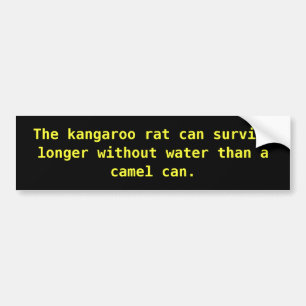 A Rat Bumper Sticker