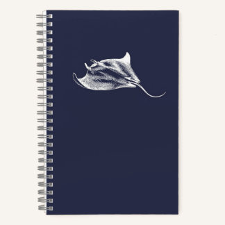 A Ray Among the Stars Notebook