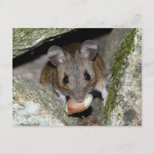 A real mouthful postcard