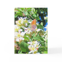 A Real Rainbow Butterfly Greeting Card