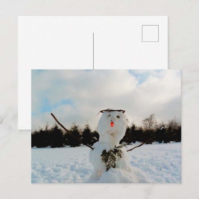 A real Snowman & a winter landscape photo Holiday Postcard (Front/Back)
