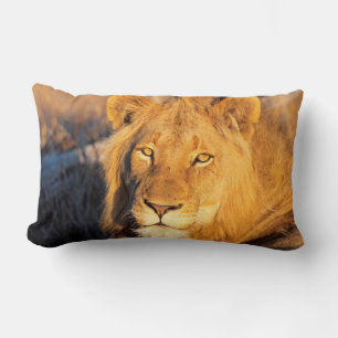 A Red Maned Lion looking at the camera. Lumbar Cushion