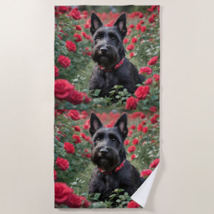 "A Red Rose for the Black Scottish Terrier" Beach Towel