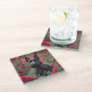 "A Red Rose for the Black Scottish Terrier" Glass Coaster