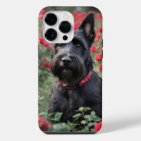 "A Red Rose for the Black Scottish Terrier"