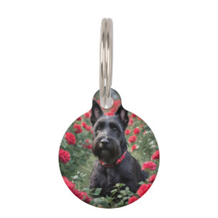 "A Red Rose for the Black Scottish Terrier" Pet Tag