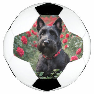 "A Red Rose for the Black Scottish Terrier" Soccer Ball