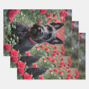"A Red Rose for the Black Scottish Terrier" Wrapping Paper Sheet
