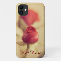 A Red Rose for your Sweetheart...
