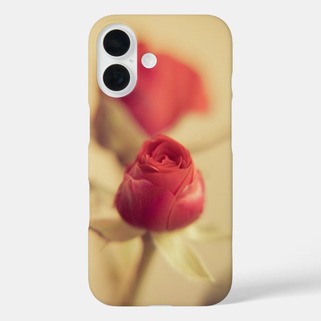 A red rose for your sweetheart... Case-Mate iPhone case (Back)