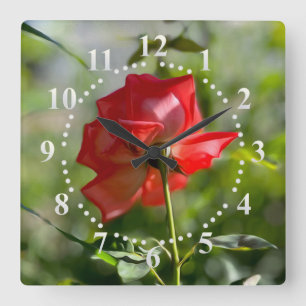 A red rose square wall clock