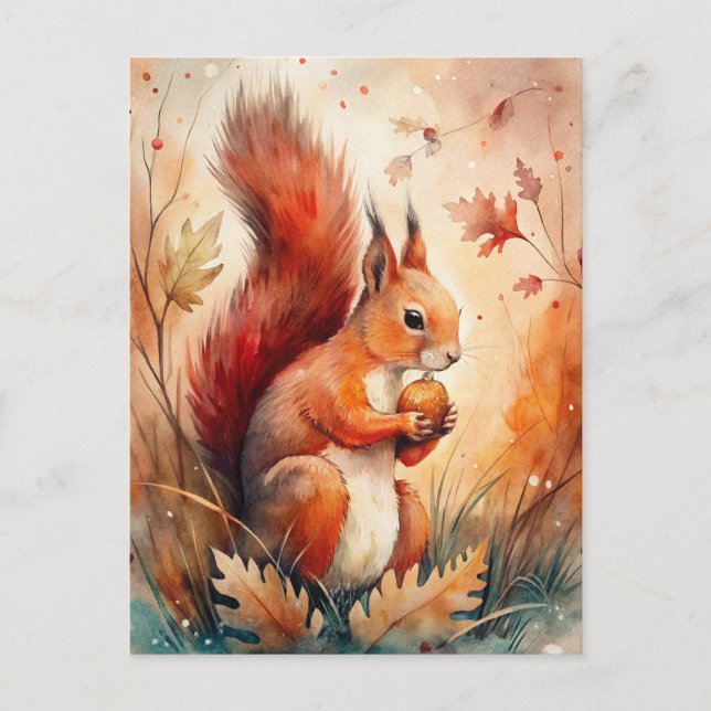 A Red Squirrel eating a nut Postcard (Front)