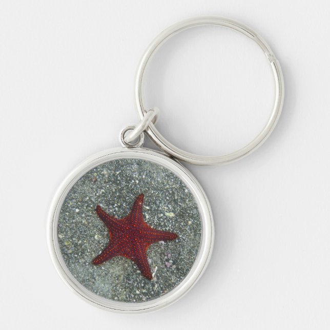 A Red Starfish | Galapagos, Equador Key Ring (Front)
