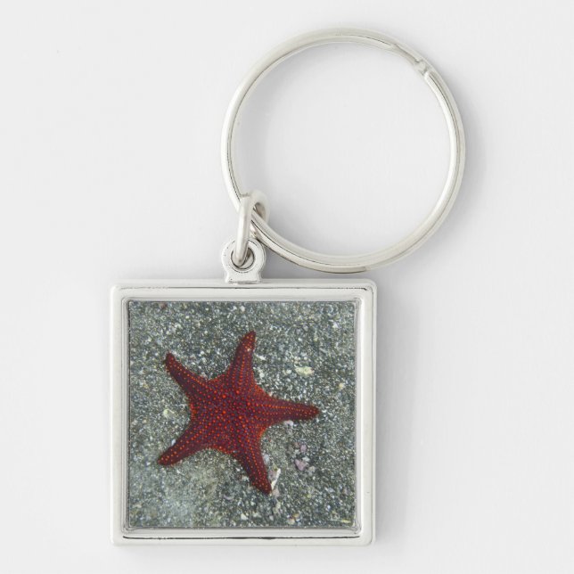 A Red Starfish | Galapagos, Equador Key Ring (Front)