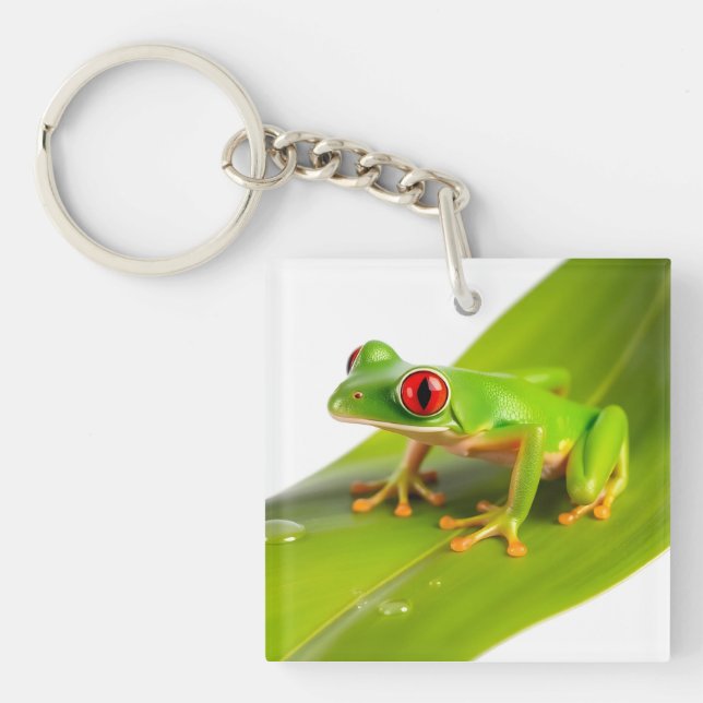A Redeye Tree Frog Key Ring (Front)