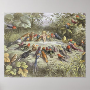 A Rehearsal in Fairy Land, illustration from 'In F Poster