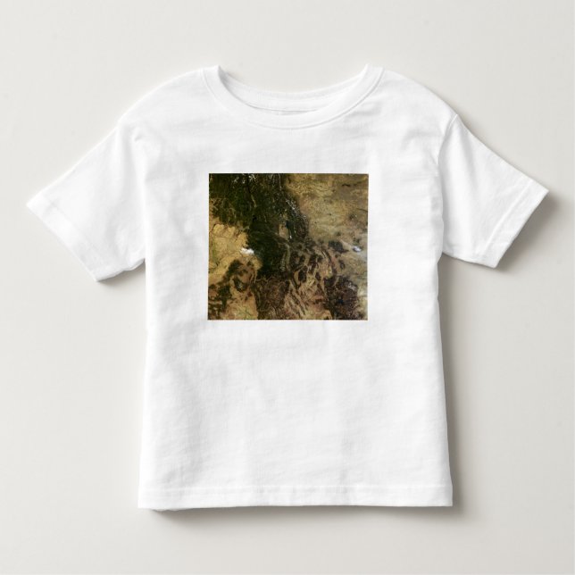 A relatively clear day toddler T-Shirt (Front)