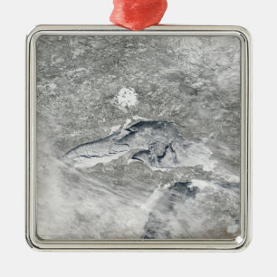 A relatively rare blanket of ice metal tree decoration