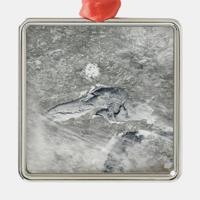 A relatively rare blanket of ice metal tree decoration (Front)