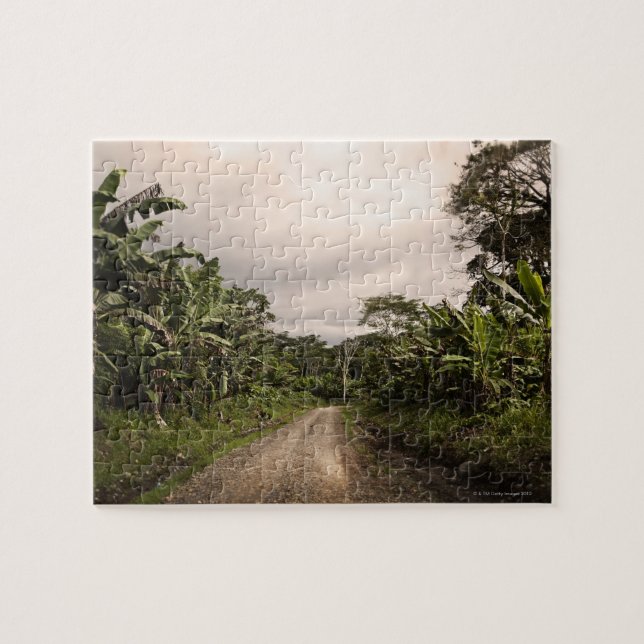 A remote jungle road jigsaw puzzle (Horizontal)