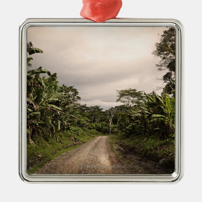 A remote jungle road metal tree decoration (Front)