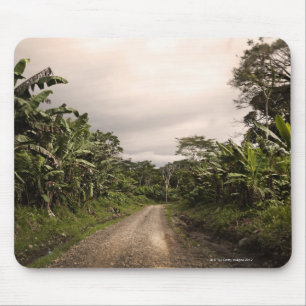 A remote jungle road mouse pad