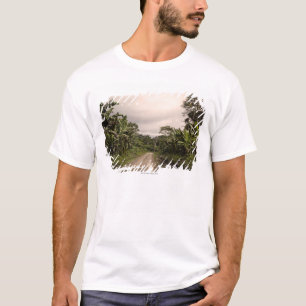 A remote jungle road T-Shirt