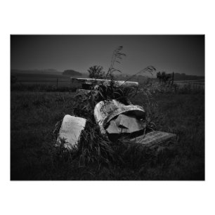 "A Restful Gathering" Photo Print