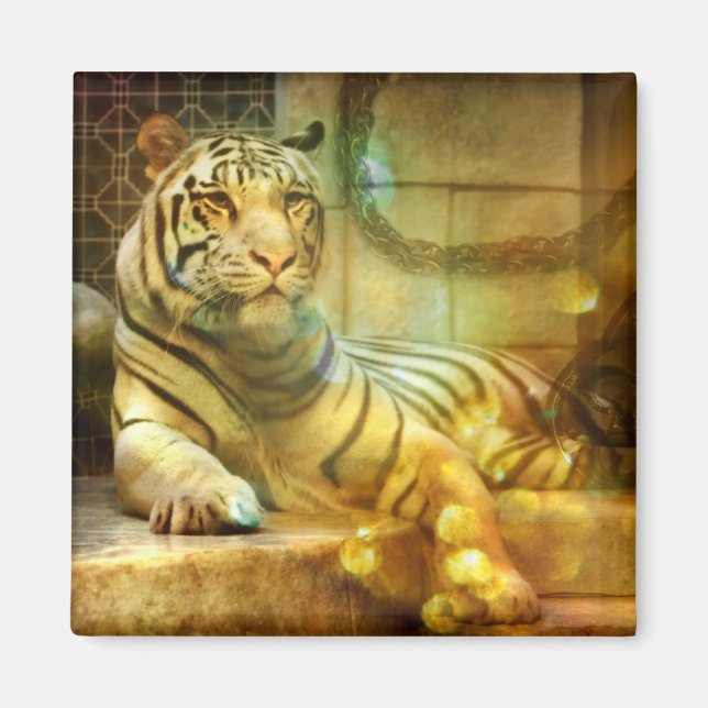 A Resting Heart Magnet (Front)