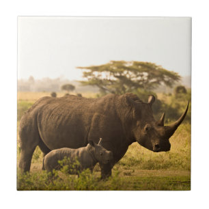 A Rhino with her baby Ceramic Tile