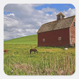 A ride through the farm country of Palouse 3 Square Sticker