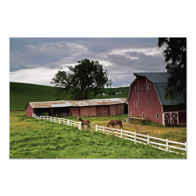 A ride through the farm country of Palouse 4 Photo Print (Front)